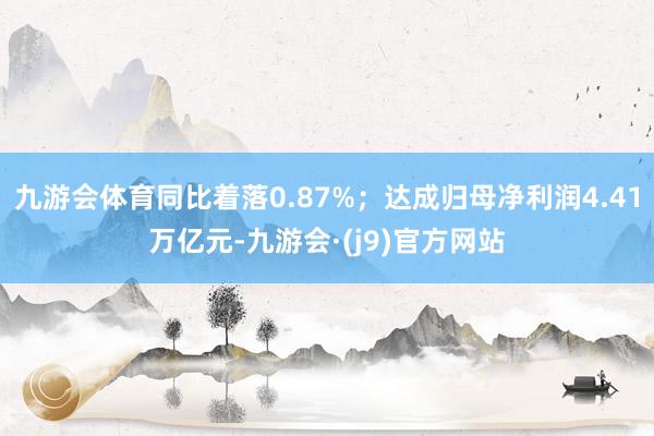 九游会体育同比着落0.87%；达成归母净利润4.41万亿元-九游会·(j9)官方网站