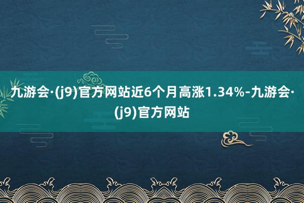 九游会·(j9)官方网站近6个月高涨1.34%-九游会·(j9)官方网站