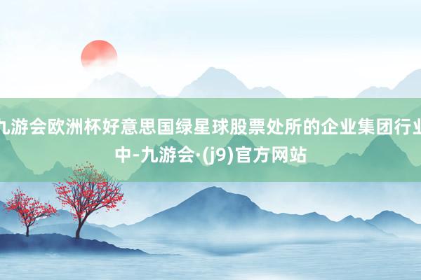 九游会欧洲杯好意思国绿星球股票处所的企业集团行业中-九游会·(j9)官方网站