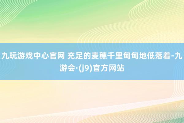 九玩游戏中心官网 充足的麦穗千里甸甸地低落着-九游会·(j9)官方网站