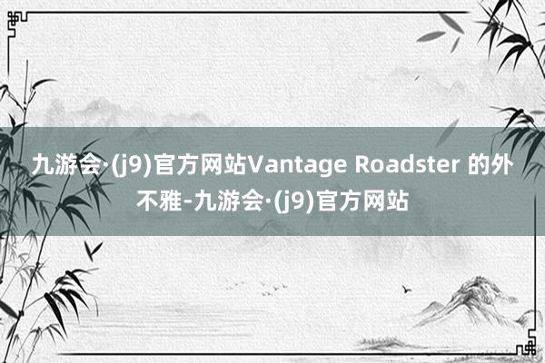 九游会·(j9)官方网站Vantage Roadster 的外不雅-九游会·(j9)官方网站