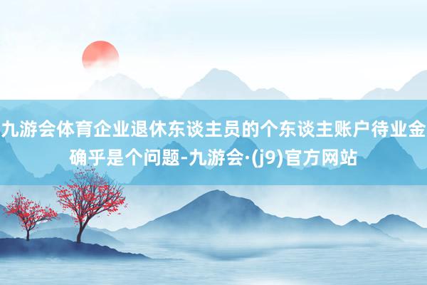 九游会体育企业退休东谈主员的个东谈主账户待业金确乎是个问题-九游会·(j9)官方网站